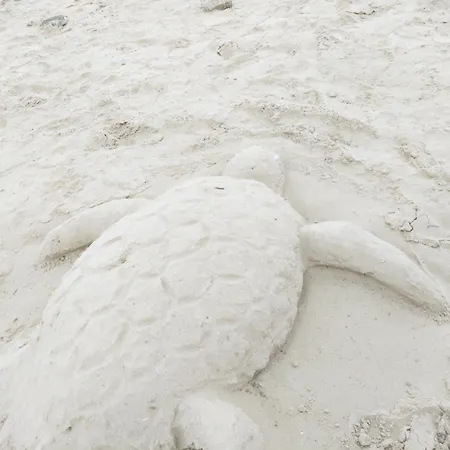 Kalais Beachfront Private Suites - Stunning Sea & Sunset Views, Bus Stop Outside, Easy Naxos Town Access, Free Beach Chairs 아파트 Pláka