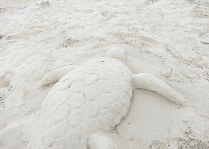 Kalais Beachfront Private Suites - Stunning Sea & Sunset Views, Bus Stop Outside, Easy Naxos Town Access, Free Beach Chairs 아파트 Pláka