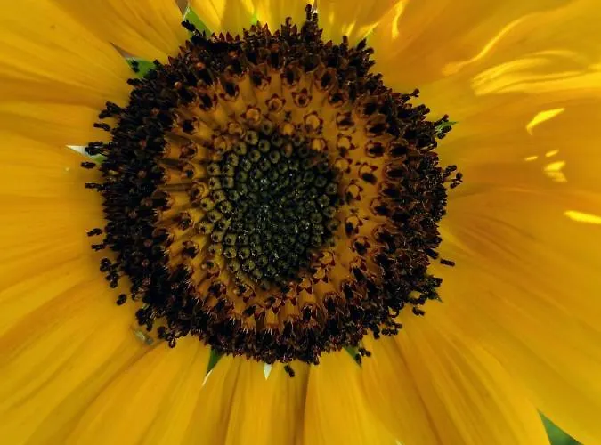 Kalais Beachfront Private Suites - Stunning Sea & Sunset Views, Bus Stop Outside, 12-Minute Drive From Naxos Town, Free Beach Chairs - Escape To Elysium Плака